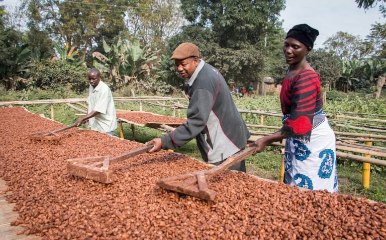 7-Shocking-Ways-Climate-Change-Could-Impact-Your-Favorite-Foods