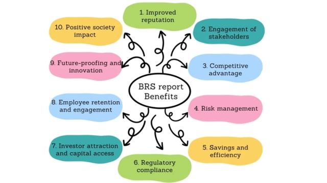 BSBR ESG CSR reports net-zero carbon GRI sustainability Earth5R