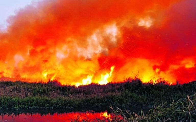 Flames and smoke rising over Bellandur Lake, Bangalore