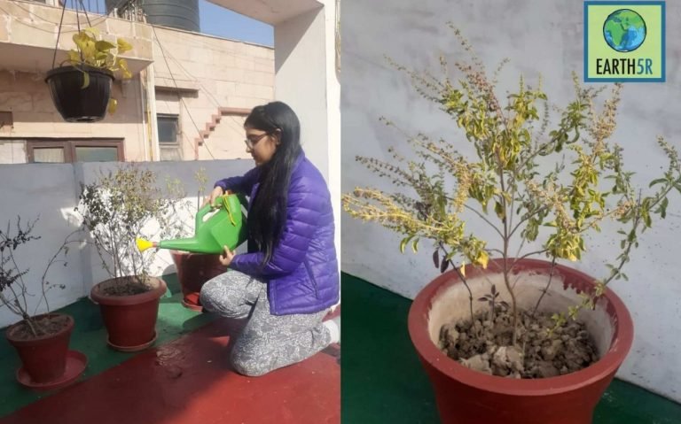 Mumbai-India-Environmental-NGO-Earth5r-Circular-Economy-feature-