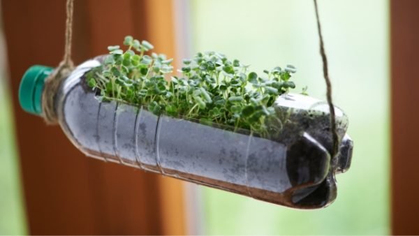 Upcycling and reuse: Transforming Waste Into Sustainability : Earth5R