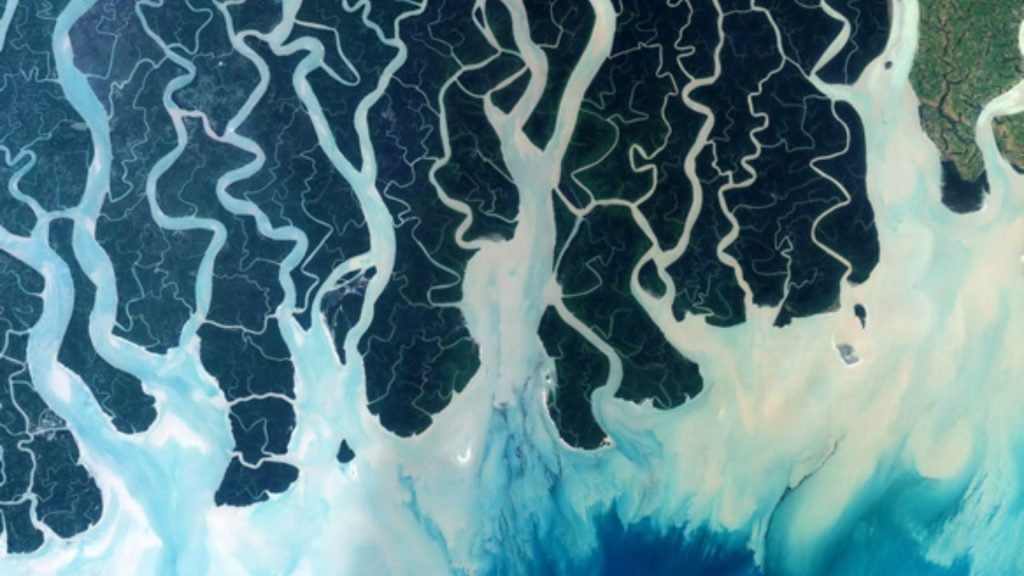 Sundarbans satellite image NASA bay of Bengal Earth5R