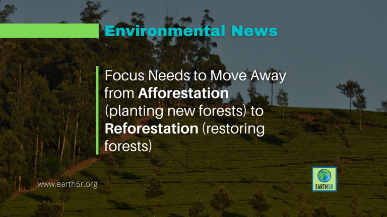 focus-needs-to-move-away-from-afforestation-planting-new-forests-to-reforestation-restoring-forests