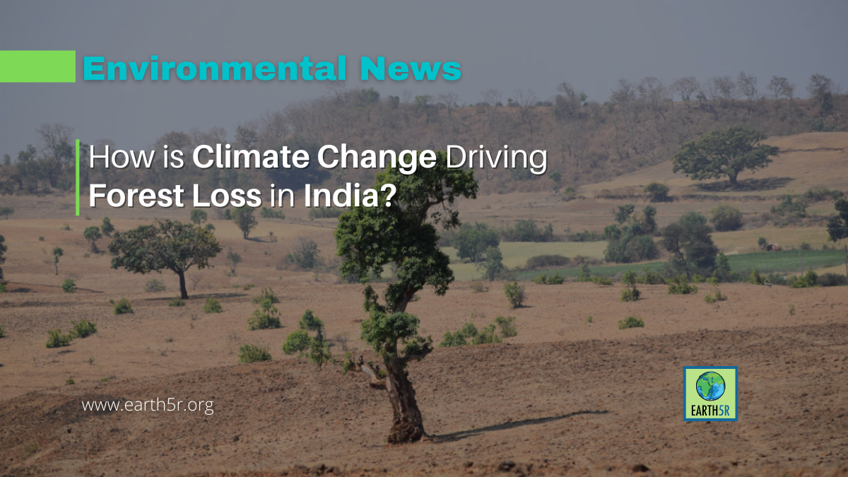 how-climate-change-is-driving-forest-loss-in-india