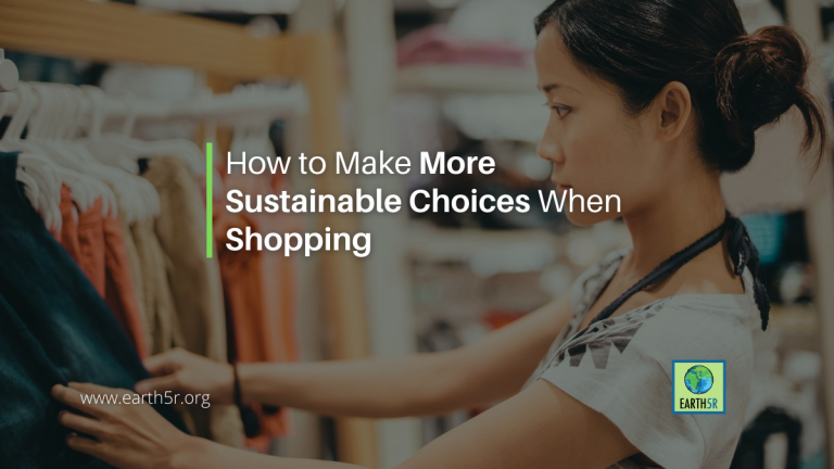how-to-make-more-sustainable-choices-when-shopping