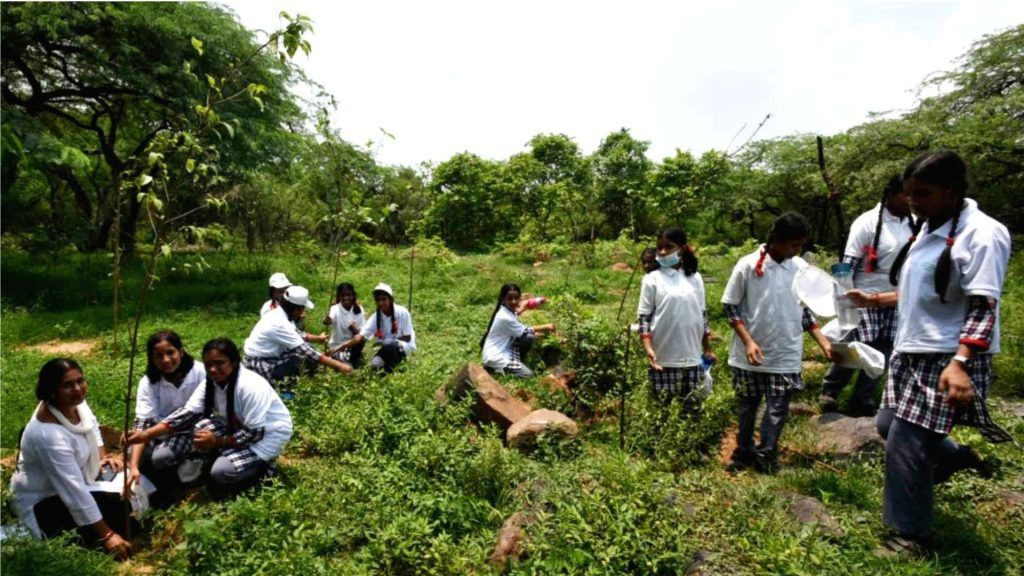 plantation drive campaign Planting seedlings Earth5R