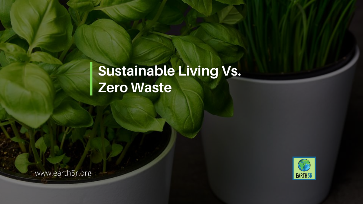 sustainable-living-vs-zero-waste