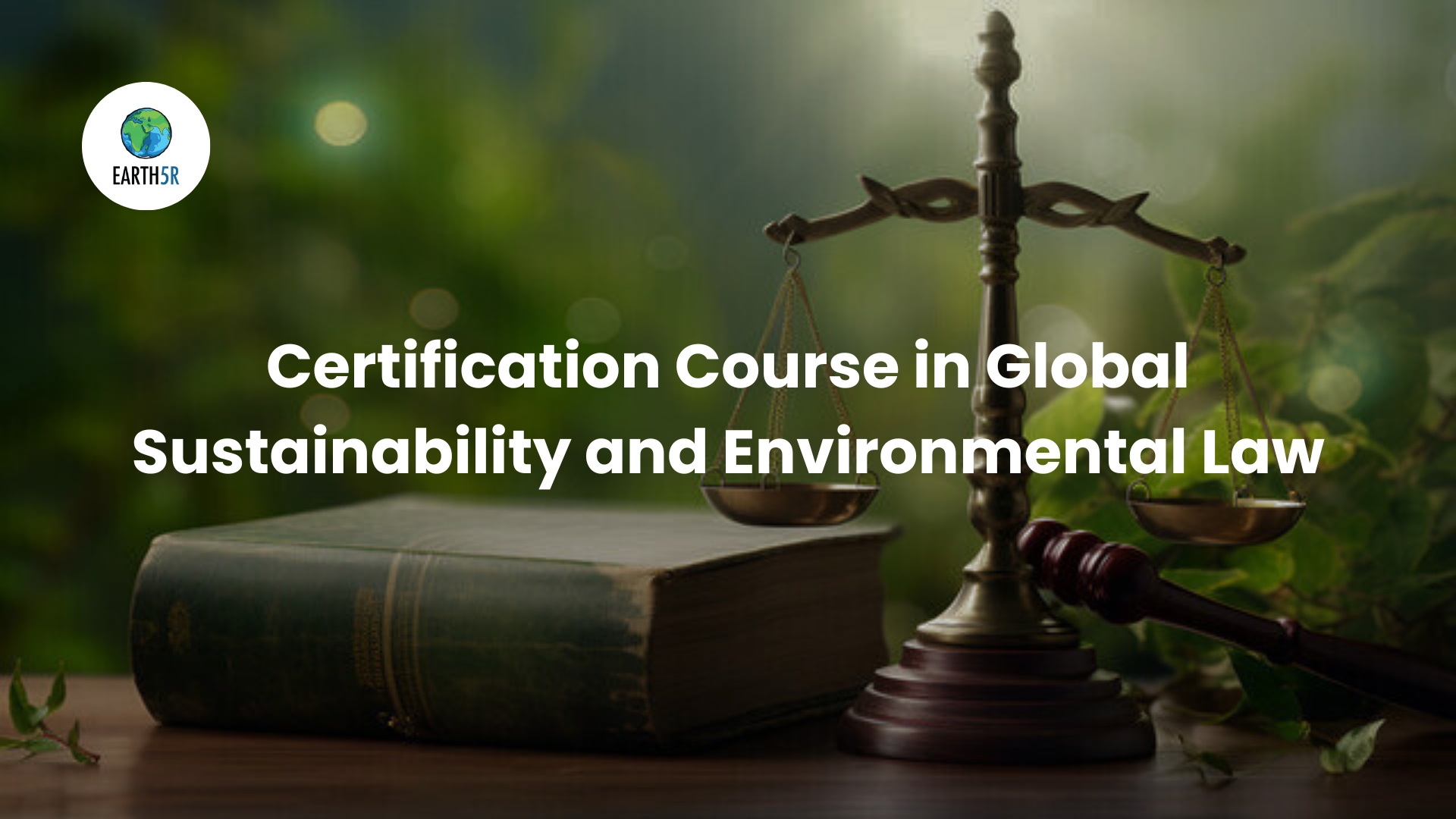 Certification Course in Global Sustainability and Environmental Law