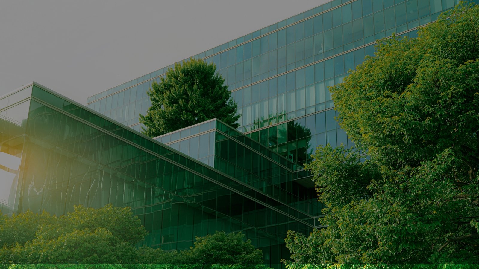 Earth5R Certification Course in Global Sustainability and Environment — climate change, renewable energy, biodiversity