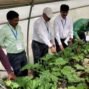 Earth5R-CSR-ESG-Organic-Farming-Earth5R-Mumbai