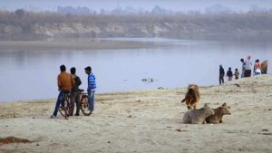 Ganga River Restoration Sustainability CSR ESG Earth5r NGO Mumbai