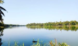 Periyar Sustainability Revival CSR ESG Earth5r NGO Mumbai