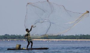 Pulicat Lake Sustainability Revival CSR ESG Earth5r NGO Mumbai