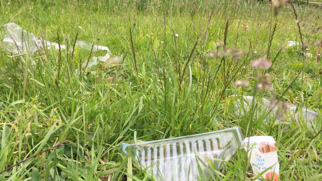 Urban Waste Mapping Initiatives Sustainability CSR ESG Earth5R NGO Mumbai