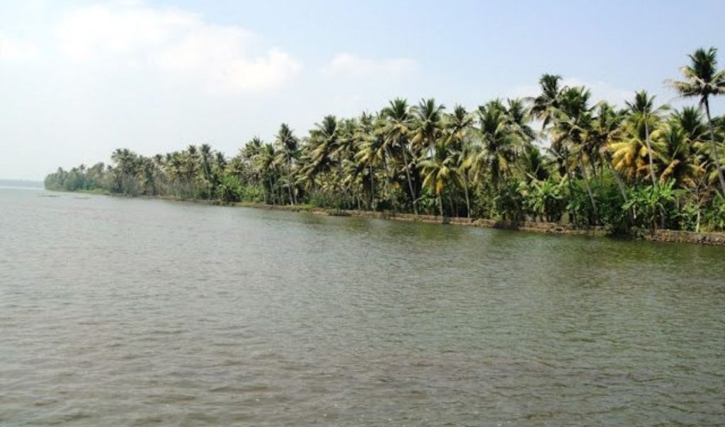 Vembanad Lake Conservation Sustainability CSR ESG Earth5r NGO Mumbai