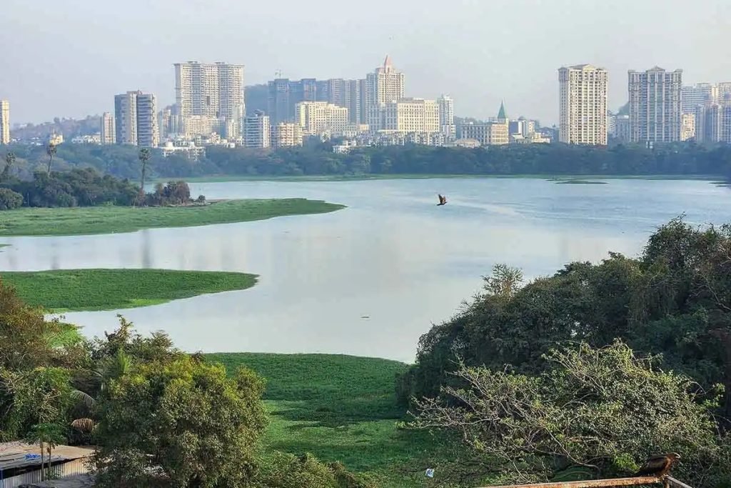 Powai lake Sustainability Revival CSR ESG Earth5r NGO Mumbai