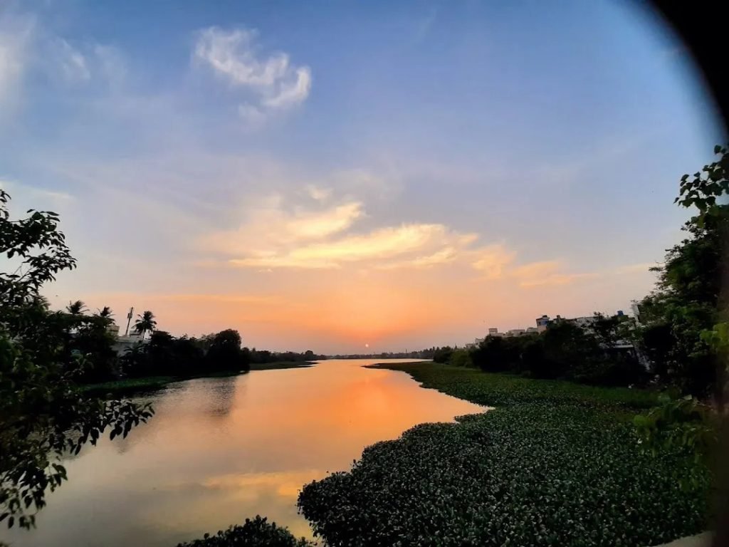 Velachery lake Sustainability Revival CSR ESG Earth5r NGO Mumbai