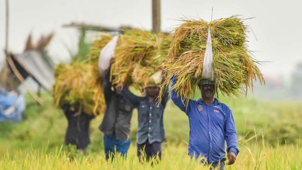 How Awareness Is Reprogramming the Future of Rural India’s Agriculture Sustainability ESG CSR EARTH5R