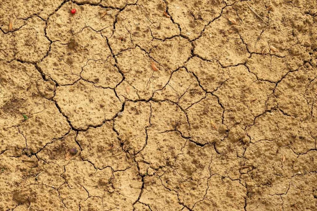 Soil Health Awareness Sustainability CSR ESG Earth5r NGO Mumbai