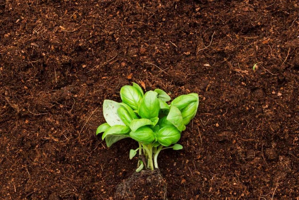 Sustainability CSR ESG Earth5r NGO Mumbai