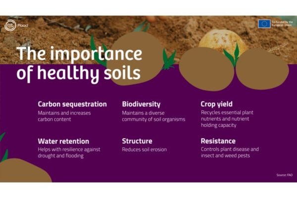 The Soil Remembers: Awareness and the Return of Respect in Rural ...