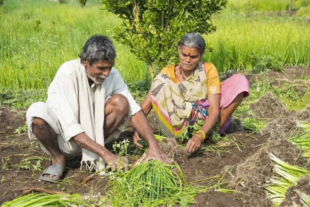 Sustainable Farming Practices Sustainability CSR ESG Earth5r NGO Mumbai