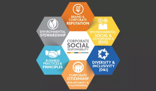How Earth5R Helps Corporates Turn CSR into Brand Value and Long-Term Social Capital