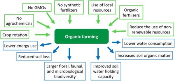 Sustainable Agriculture Vs Organic Farming What S The Difference And