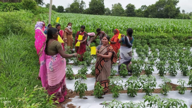 Earth5R’s Rural Sustainability Model Empowering Villages with Climate Resilience CSR ESG EARTH5R MUMBAI