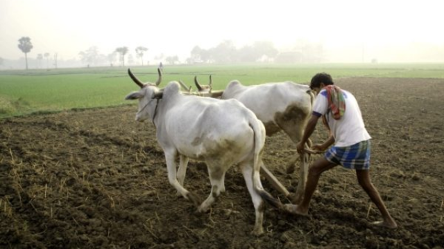 India’s Organic Farming Revolution_ Ground Realities, Challenges, and the Next Five Years ESG CSR EARTH5R NGO MUMBAI