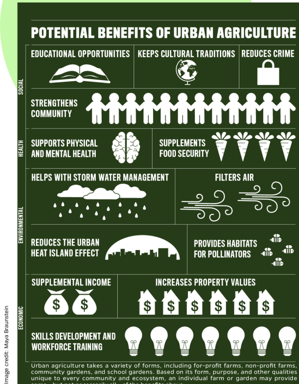The Rise of Urban Organic Farms: How Cities Are Growing Their Own Food ...