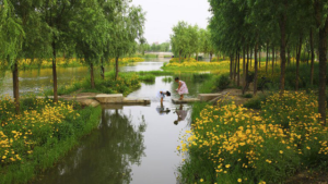 Eco-Corridors Linking Farms, Forests, and Rivers for Climate-Resilient Cities-CSR ESG EARTH5R NGO MUMBAI