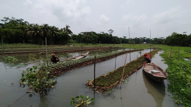Floating Farms Merging Agriculture and Aquatic Ecosystems in Cityscapes-CSR ESG EARTH5R NGO MUMBAI