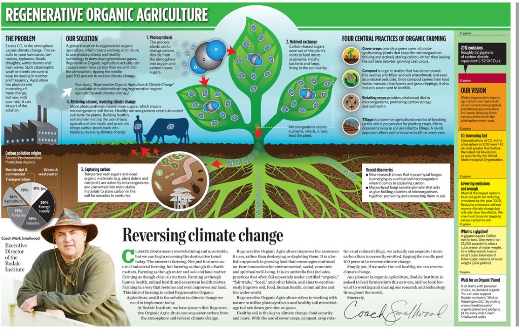 How Grassroots Farmers Are Powering India’s Regenerative Agriculture Movement CSR ESG EARTH5R NGO MUMBAI