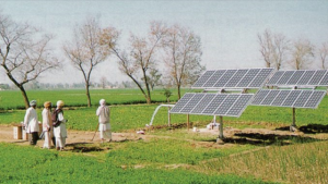 Green Grids for the Fields Renewable Energy Powering India’s Agricultural Transformation-CSR ESG EARTH5R NGO MUMBAI