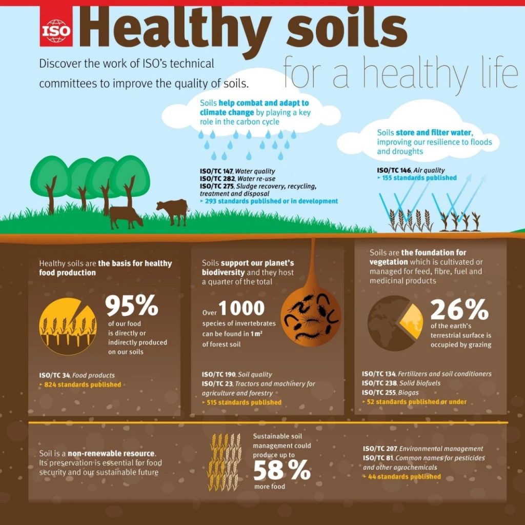 How Grassroots Farmers Are Powering India’s Regenerative Agriculture Movement CSR ESG EARTH5R NGO MUMBAI