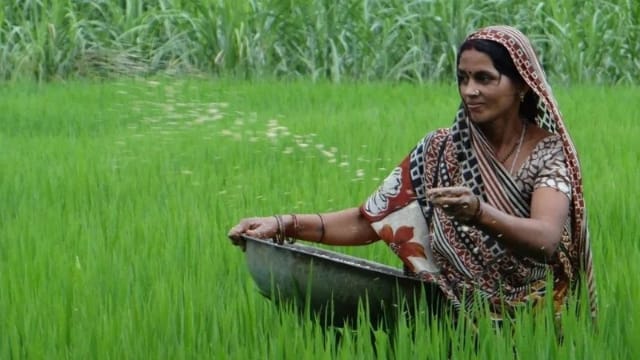 How Grassroots Farmers Are Powering India’s Regenerative Agriculture Movement CSR ESG EARTH5R NGO MUMBAI