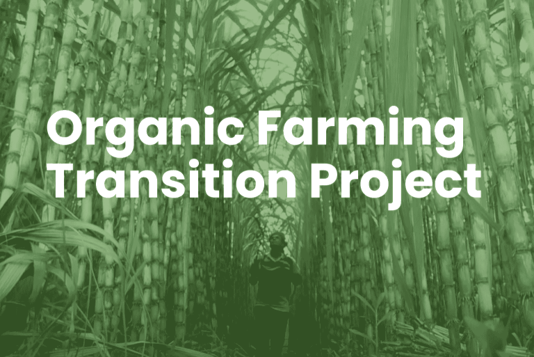 Organic Farming Agriculture Earth5R India Telangana