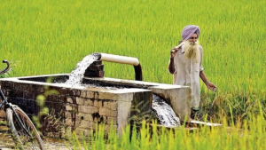 Blue Green Pact — cities partnering with farmers for water security