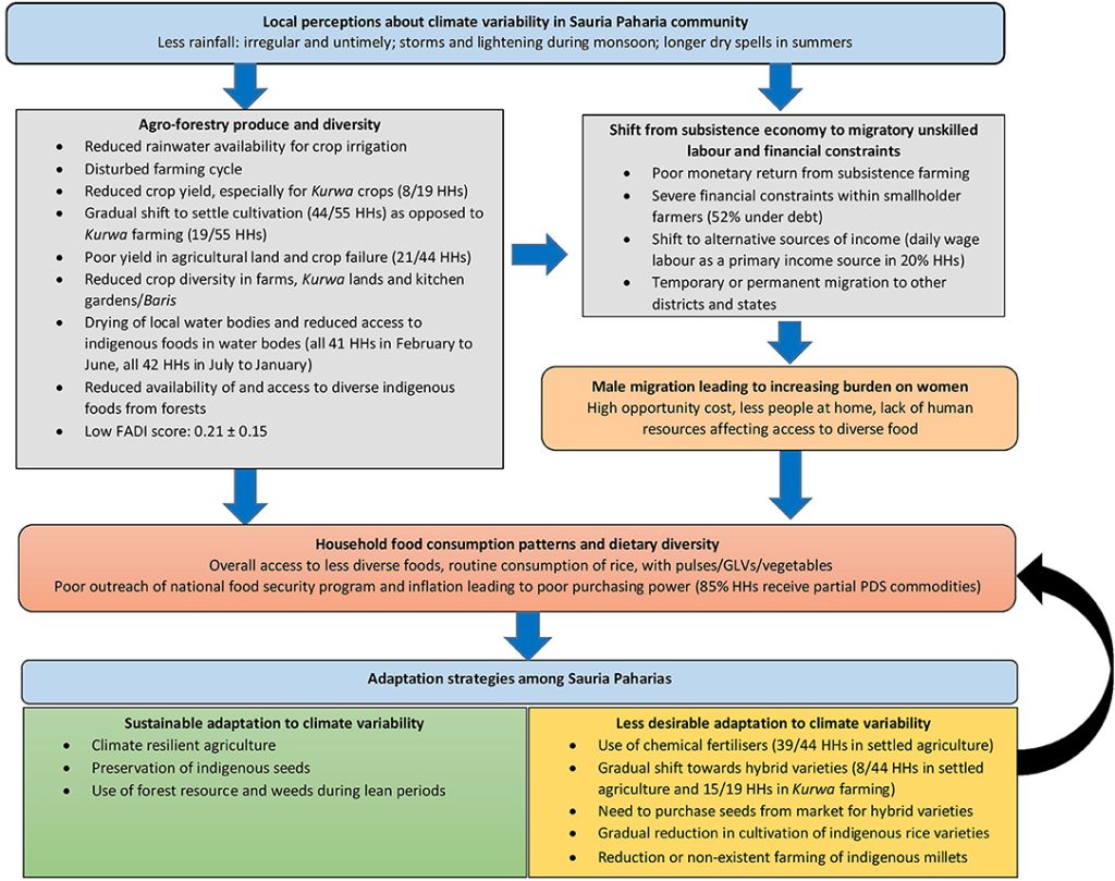 Tribal Communities at the Forefront of India’s Sustainable Food Future ESG CSR EARTH5R NGO MUMBAI