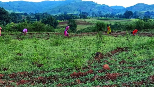 Tribal Communities at the Forefront of India’s Sustainable Food Future ESG CSR EARTH5R NGO MUMBAI