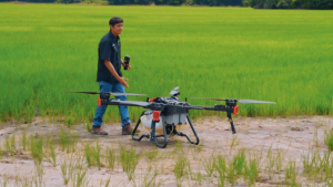 Drone doctors for crops — aerial imaging spotting disease before farmers