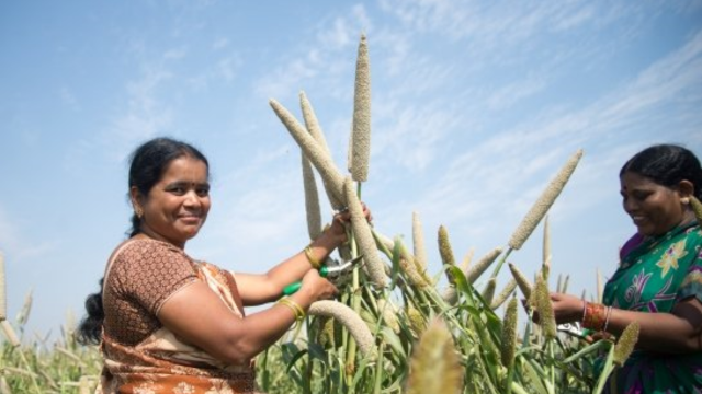How Bio-Fortified Crops Are Fighting Malnutrition with Earth5R’s Community Nutrition Programs-CSR ESG EARTH5R NGO MUMBAI