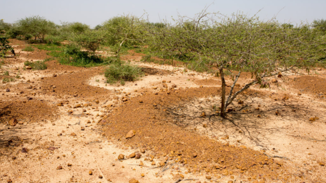 How Micro-Catchment Systems Transform Rural Irrigation with Earth5R’s Sustainable Solutions-CSR ESG EARTH5R NGO MUMBAI