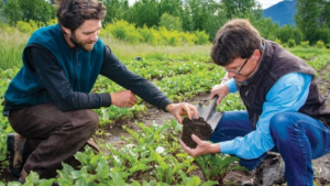 Rural Green Manure Projects Earth5R’s Techniques for Sustainable Soil Enrichment-CSR ESG EARTH5R NGO MUMBAI