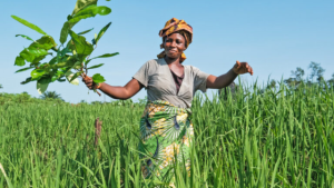 Rural Seed Banks Earth5R’s Strategy for Preserving Indigenous Crop Varieties-CSR ESG. EARTH5R NGO MUMBAI