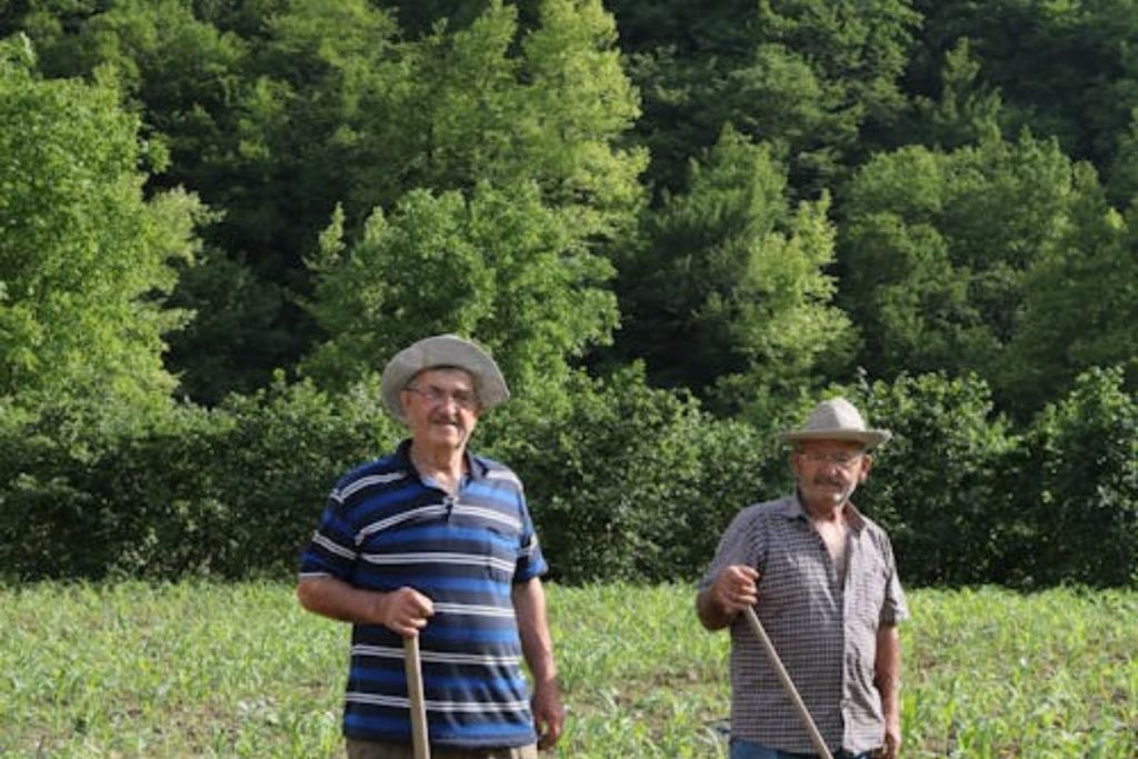 Two local farmers stand in their field, representing the community-level impact of green-tech startups in Southeast Asia.