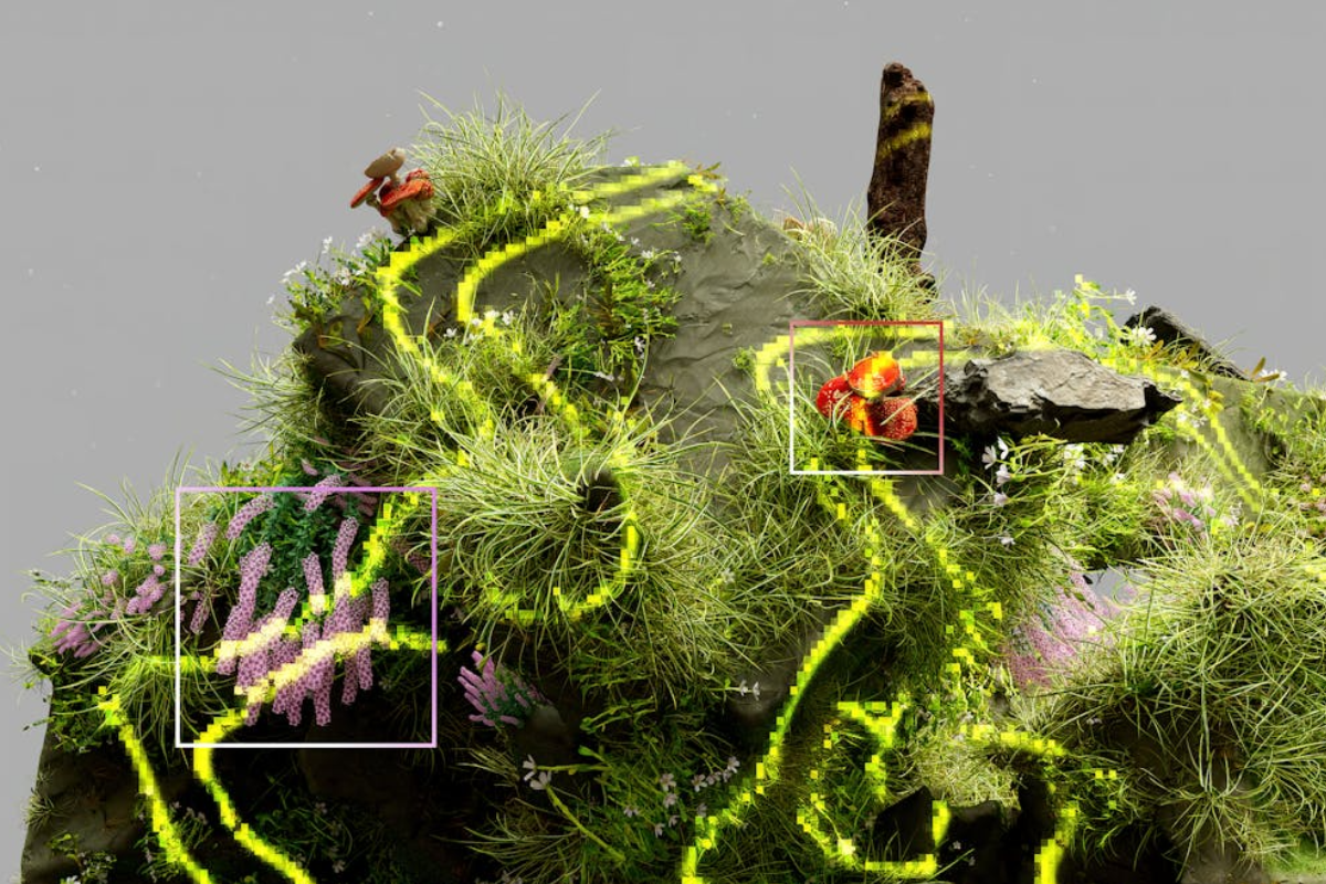 An abstract image showing AI computer vision identifying plants, with glowing yellow data paths and colored boxes highlighting specific flora on a natural rock.