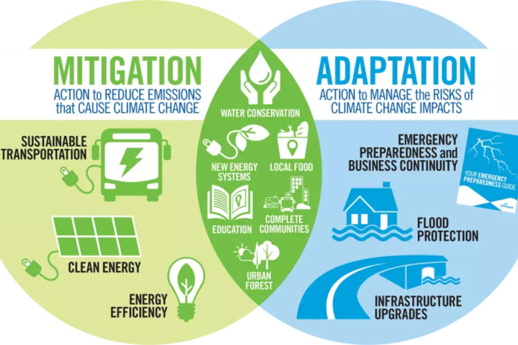 A Venn diagram infographic explaining the difference between climate mitigation and adaptation. The mitigation circle lists actions to reduce emissions, like clean energy. The adaptation circle lists actions to manage climate risks, like flood protection. The overlapping center shows actions that do both, such as water conservation.