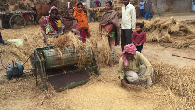 A group of rural farmers in India using a small mechanical thresher, an affordable harvesting tool that efficiently separates grain from straw to reduce post-harvest waste.